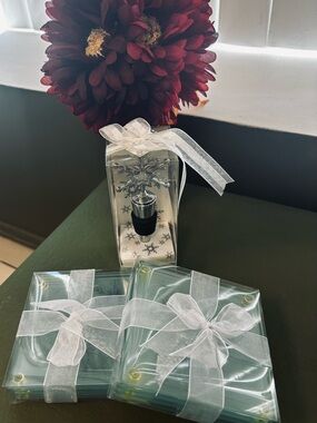 Silver Stainless Snowflake Wine Stopper with Etched Coasters